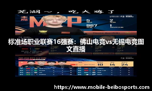 贝博体育官网